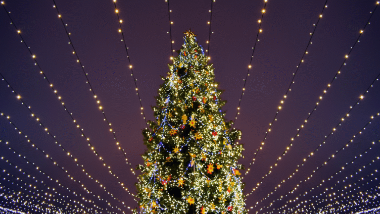 holiday tree lighting holiday events hand sanitizer stations Wilmington NC Rent A John